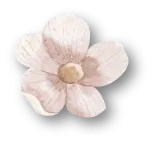 Flower 5